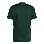 Algeria Away Soccer Jersey