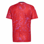 Costa Rica Home Soccer Jersey World Cup 2026