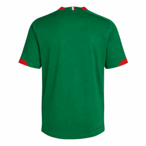 Retro Jersey Mexico Home World Cup 2006