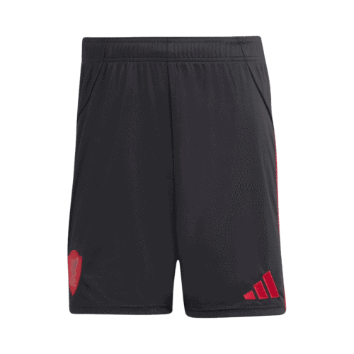 Liverpool Away Soccer Shorts 2025/26