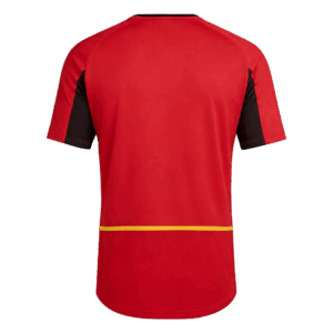 Retro Soccer Jersey Belgium Home World Cup 2002