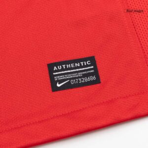 Retro Soccer Jersey Portugal Home 2010 - Image 11