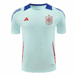 487421_1 Spain Pre-Match Soccer Jersey EURO Blue