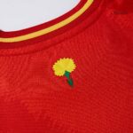 Spain Home Kids Soccer Jerseys Kit EURO
