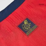 Retro Soccer Jersey Spain Home 1996