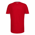 Wales Home Soccer Jersey World Cup 2026