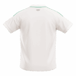 Wales Away Soccer Jersey World Cup 2026