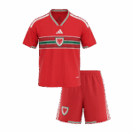 Wales Home World Cup Kids Soccer Jerseys Kit 2026